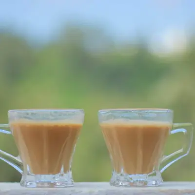 Nilgiris Regular Tea - Finest Blend Ooty Tea Powder for the Best Chai Experience