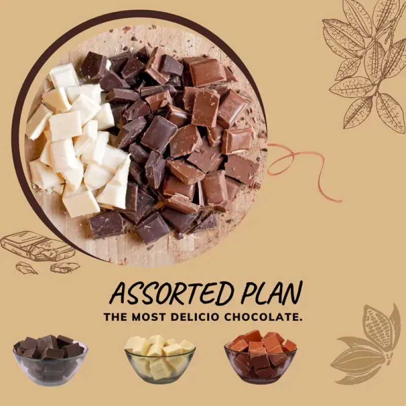 Ooty Plain Assorted Chocolates - Handmade, Mixed Chocolate Box with Milk, White, Dark Varieties